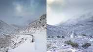 Winter wonderland: Mzansi shares snaps of frozen landscapes