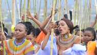 Umemulo ceremony: Everything you need to know about the momentous event