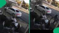 SA stunned as thief snatches woman’s iPhone in broad daylight, escapes in white Audi