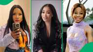Photos of Makhadzi, Kelly Khumalo and other South African celebs' looks before money amuse Mzansi