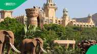 How much does it cost to take a family to Sun City in 2026