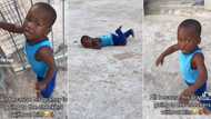 Toddler's dramatic tantrum after grandmother goes to Checkers without him has Mzansi parents triggered