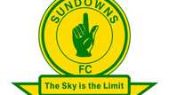 Who is the owner of Mamelodi Sundowns?