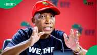 EFF to picket Constitutional Court monthly over Phala Phala judgment delay
