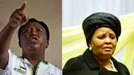 "Shem": Julius Malema reacts to Defence Minister Mapisa Nqakula's about turn