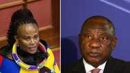 Busisiwe Mkhwebane says she's facing the consequences of investigating powerful people like Ramaphosa