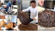 Man makes beautiful motorbike and lion sculptures using chocolates, videos go viral