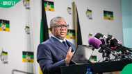 Fikile Mbalula says 30 June national shutdown failed, South Africans challenge his claims