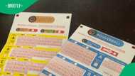 3 lotto players hit jackpot winning over R40 million each in historic jackpot