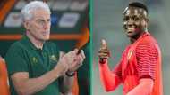 Bafana coach Hugo Broos names FIFA Series squad that includes Kaizer Chiefs goalkeeper Bruce Bvuma