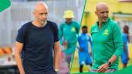 Cardoso Demands Fair Play! Sundowns Coach Calls for Better Officiating After Arrows Draw