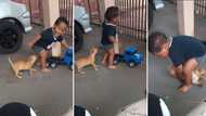 Video of baby and puppy fiercely playing around raises eyebrows online: "I don't think it is funny"