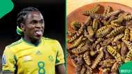 Did Siphiwe Tshabalala eat mopani worms? Video of SA legend trying out the African delicacy trends