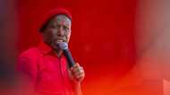 EFF's Julius Malema cuts pay of 2 leaders who did not provide monthly reports