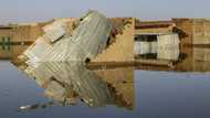 Chad floods leave victims in despair