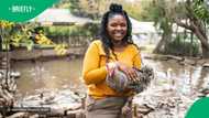 "Emotional support chicken": Woman at mall stands in line with chicken in her backpack in TikTok video