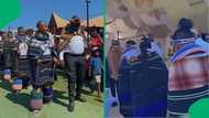 "South Africa is colourful": Mzansi adores video showing beautiful Ndebele wedding