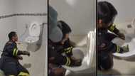 "Nightmare come true": Man catches a snake in toilet, gives people the creeps