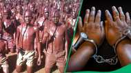 North West crackdown: Cases filed against bogus initiation school leaders