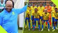 South African coach likens Sundowns to Bafana Bafana ahead Carling Knockout final