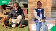 Meet Victor: 7-year-old SA CEO turns his little business into a big mission for animals