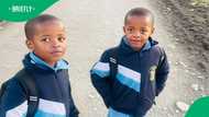 "Mom, please make a plan": Twins desperately plead with mom for a car, even a truck, SA in stitches
