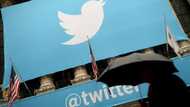 Twitter fate in doubt as employees defy Musk ultimatum