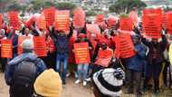 EFF protests outside Johann Rupert’s farms in Stellenbosch, Mpumalanga on anniversary of Van Riebeek’s arrival