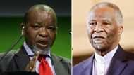 Gwede Mantashe is not impressed with Thabo Mbeki's comments about SA leadership deficit