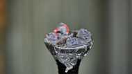 Hubble-bubble trouble: Hookah ban leaves Malians divided