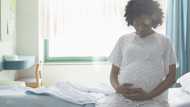 My husband came to my ultrasound — Then the doctor revealed a shocking truth