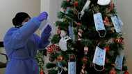 Repeat Covid infections increase risk of health problems: study