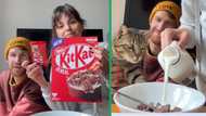 Johannesburg woman buys R240 KitKat cereal, TikTok video of taste test has Mzansi invested