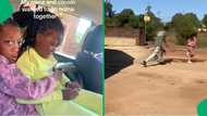 "My girl in pink fought": Family tries separating cousins in funny video, entertains Mzansi