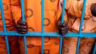 6 Prisoners escape with help of heavily armed men in Limpopo, police launch manhunt