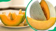 How to pick a good cantaloupe: Simple tips for finding the sweetest, ripest fruit