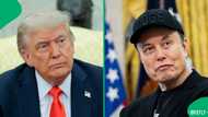 Donald Trump refuses to reconcile with Elon Musk for now, Tesla shares plummet following public feud