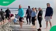 Dolphin rescue at Cape Town beach: Watch community come together for rare dolphin