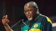 ANC National Chairperson Gwede Mantashe claims the governing party is under siege due to factionalism