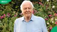David Attenborough turns 100 and sends heartfelt message to the world on Instagram