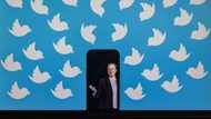 Musk cites whistleblower in new filing to scrap Twitter deal