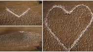 Farmer makes shape of a heart with many sheep to mourn his dead aunt, video of the display goes viral