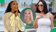 SA unimpressed by Minnie Dlamini's SAMA dress inspired by Doja Cat: "Copy Cat wanted to be Doja Cat"