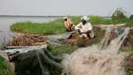 Boko Haram jihadists kill fishermen in Lake Chad: sources