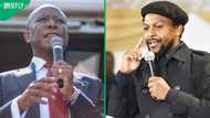 Ndlozi says country benefits nothing from Malema being in jail, South Africans share mixed reactions