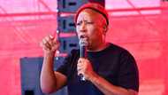 EFF leader Julius Malema says hating black foreign nationals is self hate, calls on the unity of all Africans