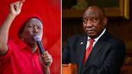 MPs warned not not disrupt Ramaphosa’s Sona but EFF and NFP vow to cause commotion doing address