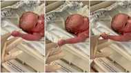 "Put me back": Newborn infant grabs doctor's hand and refuses to let go, hilarious video goes viral