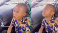 Zahara: Grief-stricken boy breaks down in tears for the late singer in TikTok clip