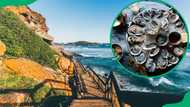 The 7 finest restaurants in Plettenberg Bay: Experience the best of Plett